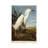 Snowy Heron or White Egret/Snowy Egret by John Audubon - Wrapped Canvas Graphic Art Print-1009969881