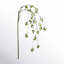 Hanging Irish Moss Sprays