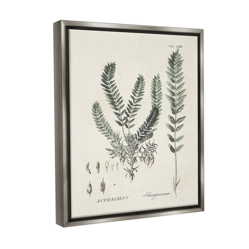«Forest Leaves Diagram Floater Frame» par Martini sur toile, Cadre flottant gris lustré, H 21 po x l 17 po