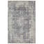 Tapis oriental gris Deatherage-198409853