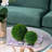 5.9'' Faux Boxwood Topiary