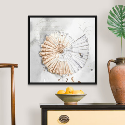 " Blush Shell II " Graphic Art Print