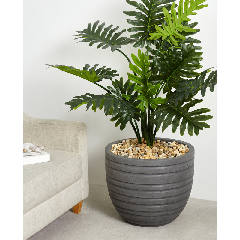 Jardin vertical en résine, H 13 po x l 15 po x P 15 po, Gris foncé