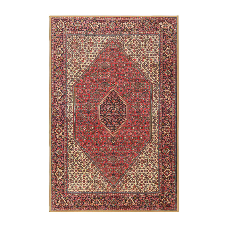 Cathaleya Oriental Indoor Rug, Rectangle 8' x 10'