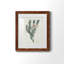 Protea N33 - Peinture encadrée-1258477350-1258477354