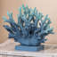 Décoration bleu corail