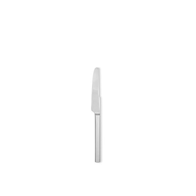 Dry Stainless Steel Dinner Knife