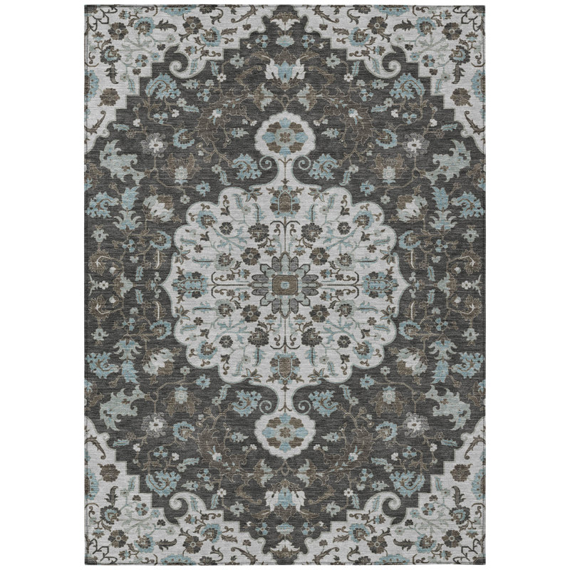 Machine Washable Indoor/Outdoor Chantille ACN2463 Traditional Rug, Silver, 3' x 5'