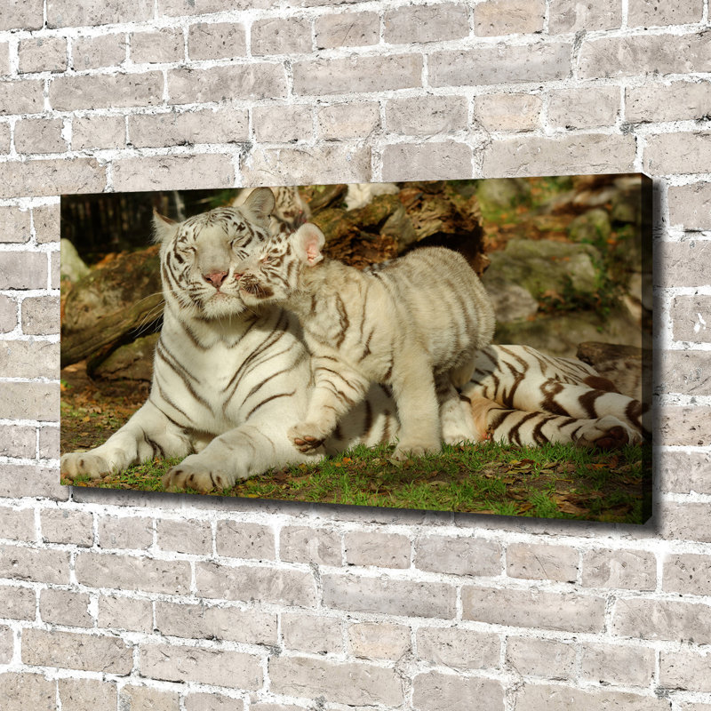 Tigers - Wrapped Canvas Print