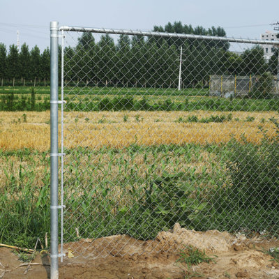  Clôture à mailles losangées en acier galvanisé - Ensemble complet - 50 pieds - calibre de 12,5 AW