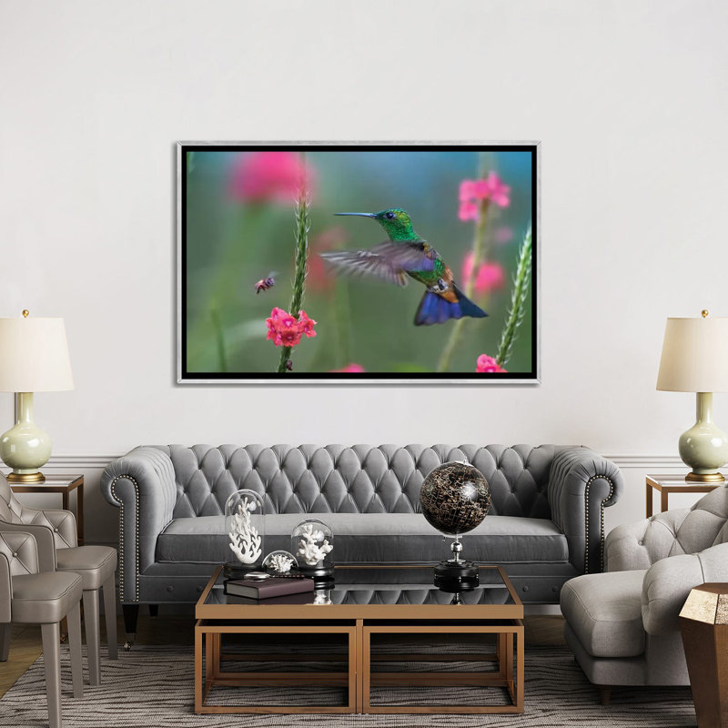 «Copper Rumped Hummingbird» par Tim Fitzharris - reproduction de photo, H 40 po x l 60 po x P 1,5 po, Non mat