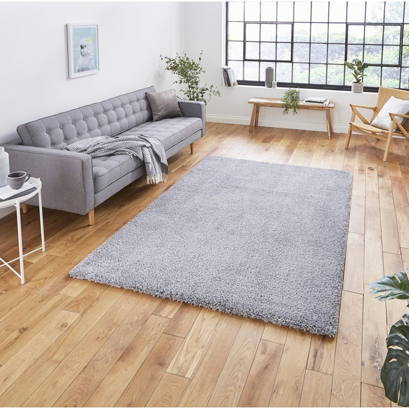 Kennedyville area rug Machine Woven Rectangle Grey, Rectangle 120 x 170cm