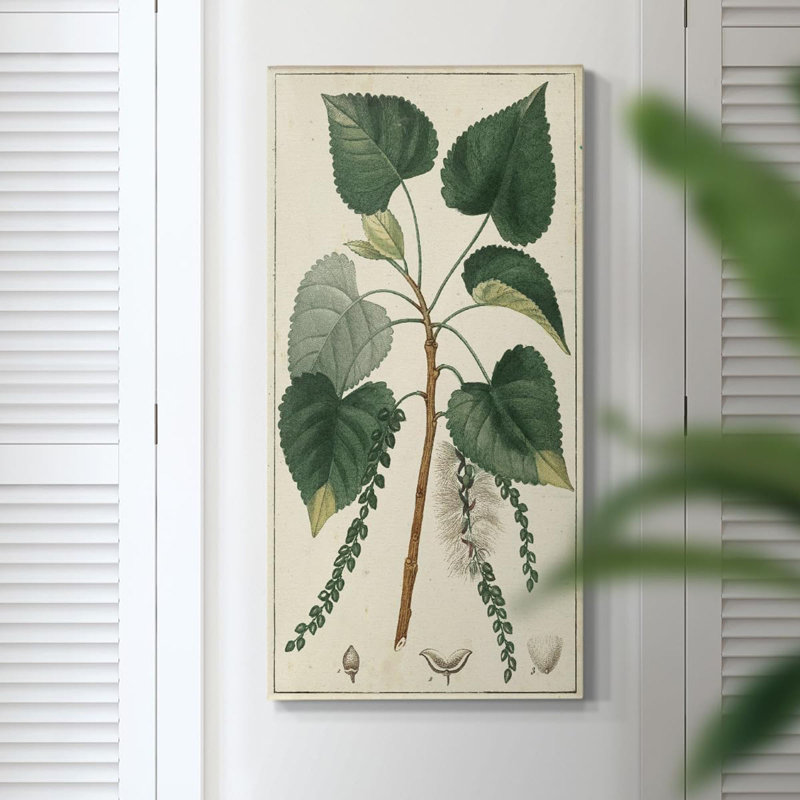 Toile Renditions Gallery