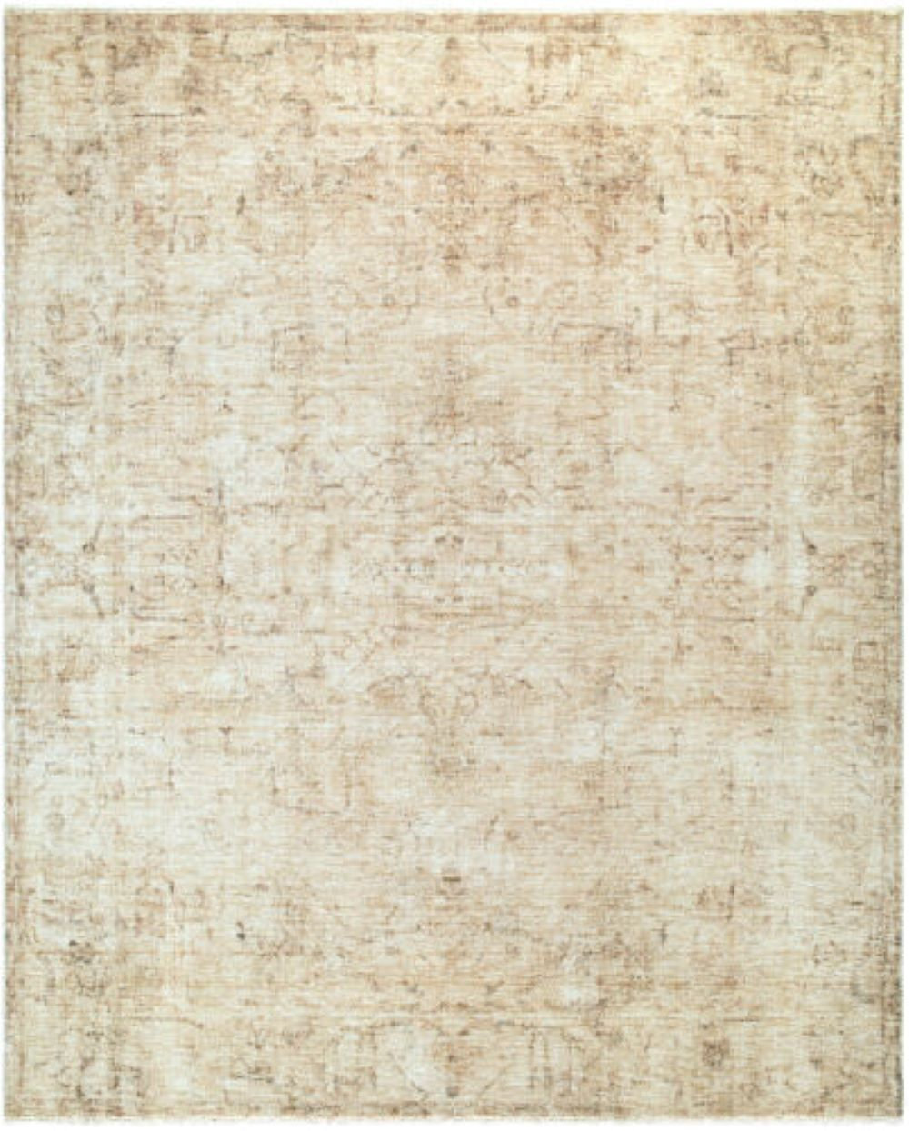 Galey Alix x Livabliss Fetscher Oriental Rug, Rectangle 5' x 7'