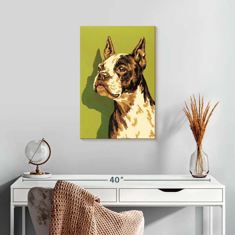 Boston-terrier, H 24 po x l 16 po