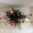 Hanging Basket Arrangement in Basket