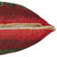 Housse de coussin de conception saisonnier poinsettia