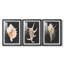Imprimé graphique Murex rose - encadré sur mesure de qualité supérieure - 3 pièces-1318840401-1318840403