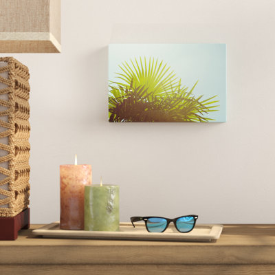Sunny Palms I by Sonja Quintero - Photograph Print
