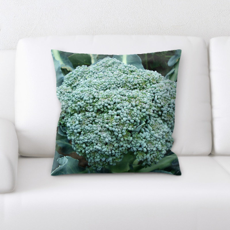 Coussin : brocoli