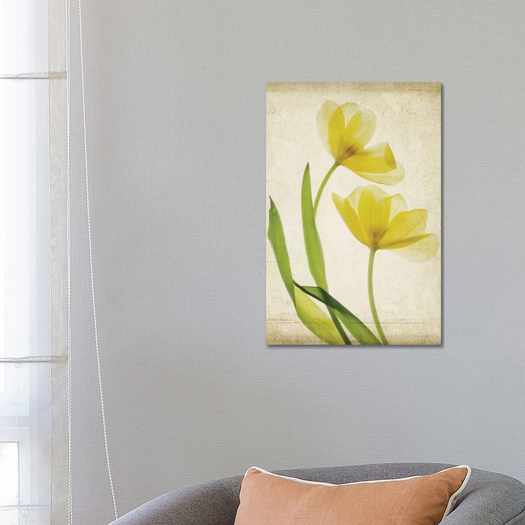 Parchment Flowers IV by Judy Stalus - Wrapped Canvas Art Prints