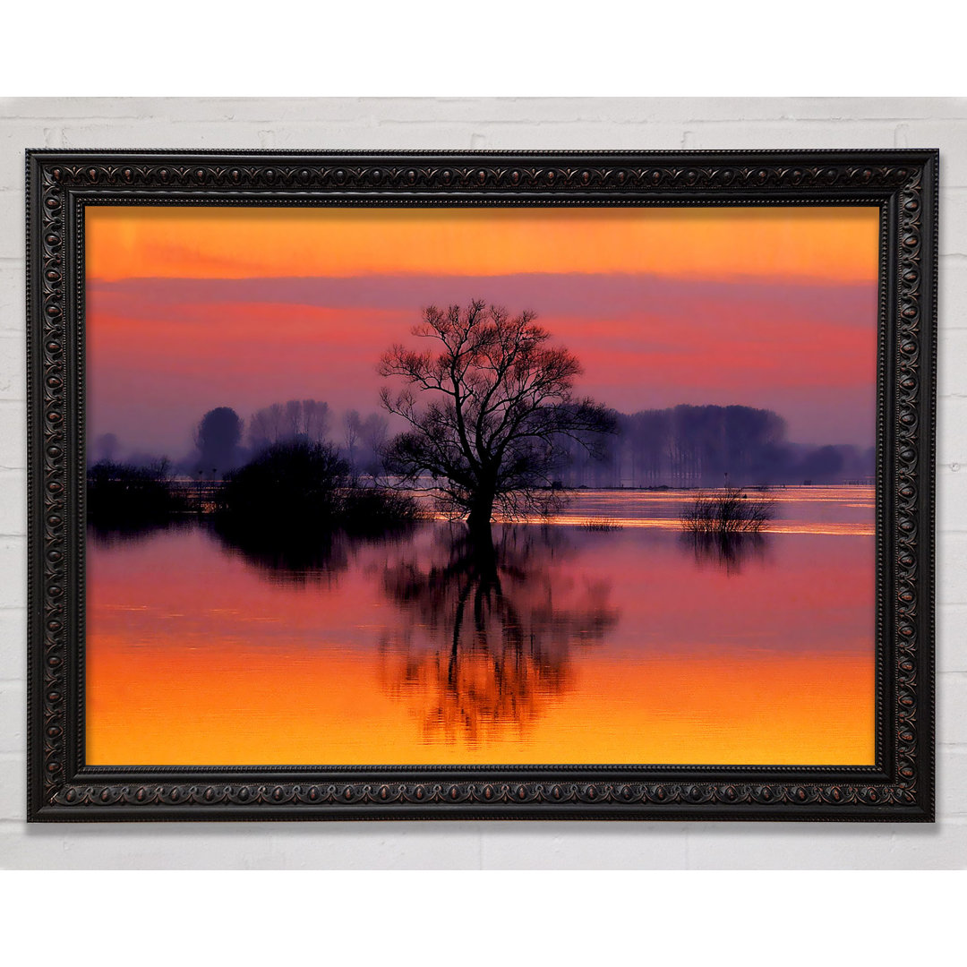 Orange Morning Reflections - Einzelne Bilderrahmen Kunstdrucke