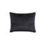 Valentina Velvet Euro Pillow Cover & Insert-513933120