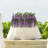 69" Wisteria Spray Artificial Branch