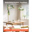 Carbon Steel Backdrops & Signs