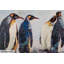 Acrylic Painting Circle Of Penguins