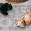 Tapis beige / gris ivoire Nel Paz-194998378