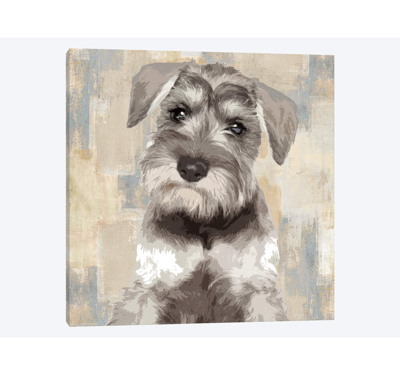 « miniature schnauzer », impression sur toile, H 12 po x l 12 po x P 0,75 po, Pas de tapis, Toile tendue