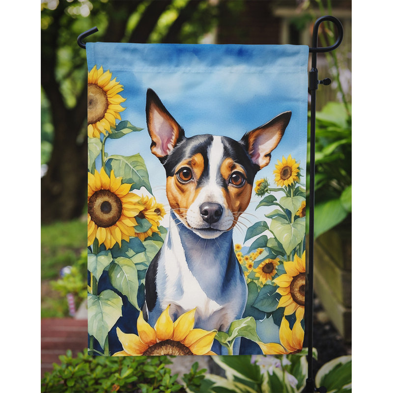 Lévrier irlandais dans le drapeau du jardin de tournesols, Terrier de rat