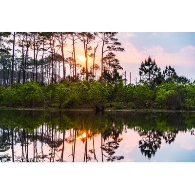 Gator Sunrise by Jeremiah A. Gourd - Wrapped Canvas Print