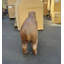 Statue Capybara Mama