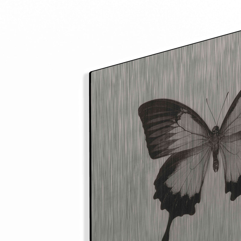 «Butterfly III BW» par Debra Van Swearingen, H 12 po x l 12 po