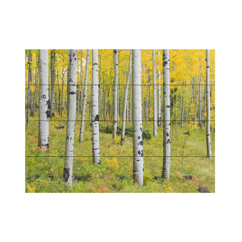 Stefan Hefele  Yellow Birchs Wood Slat Art, H 12 po x l 16 po