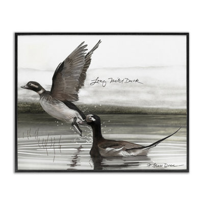 Giclée de canard à longue queue par Jadei