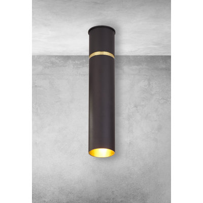 Lynx Flush Ceiling Light