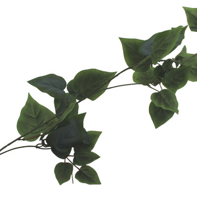180cm Plant