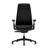 Fern Office Chair with Lumbar Support-72023973-91925234