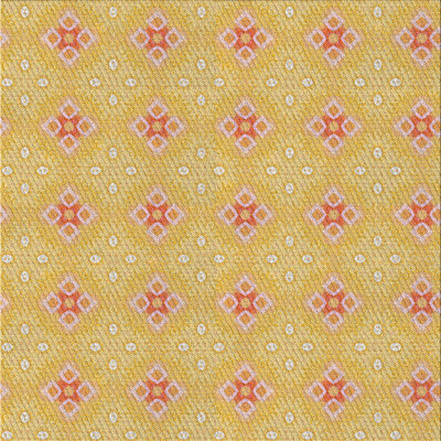 Indoor Rug