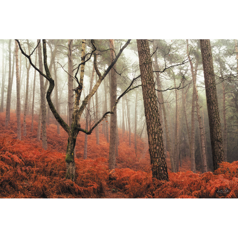 «The Floor Is Lava On Canvas» par Martin Podt, reproduction, H 8 po x l 12 po
