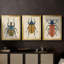 Beetle Bug I - Toile tendue avec châssis sur mesure - 3 pièces