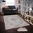 Stylish Woven Carpet, 5.2 x 7.5 Feet | 100% Polyester, 0.3 in Pile Height, Antibacterial, Non-Slip PVC Dot Underside | Machine Washable, 3D Digital Print | Perfect for Living Room, Bedroom & Home Décor-685920331