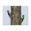 No Frame Print on Canvas-887198241