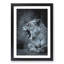 Fierce Lioness - Picture Frame Painting Print-56925188-56925189