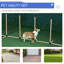93cm H Plastic Dog Agility
