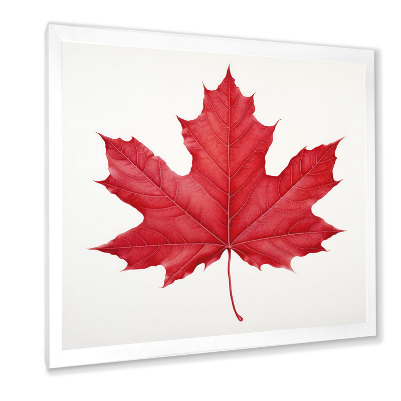 Feuille d'érable écarlate Simplicity II, Cadre simple blanc, H 16 po x l 16 po x P 1 po