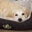 Wilton Polyester Pet Bed-1882413908-1882413911